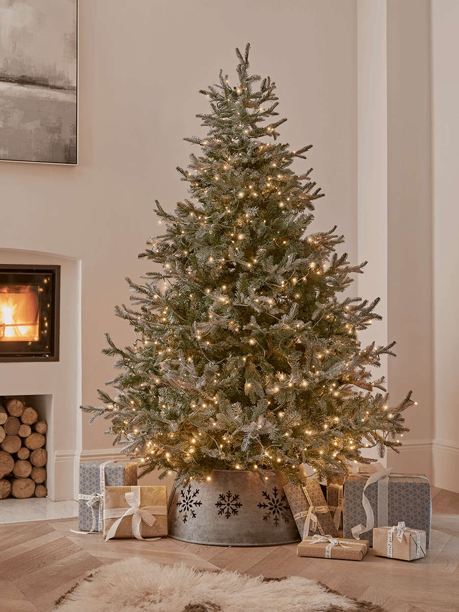 Blue Mountain Spruce Christmas Tree - Pre-Lit